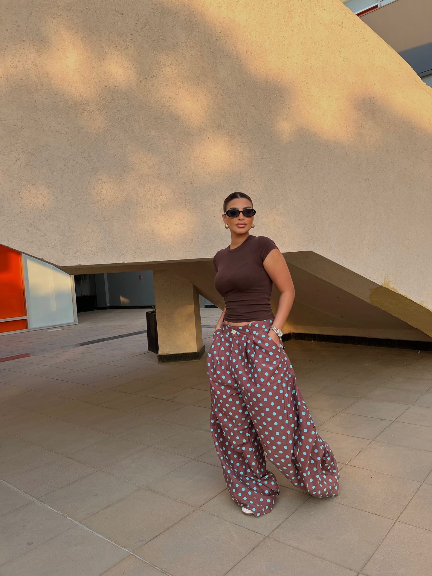 Polka Dot Wide-Leg Pants Brown